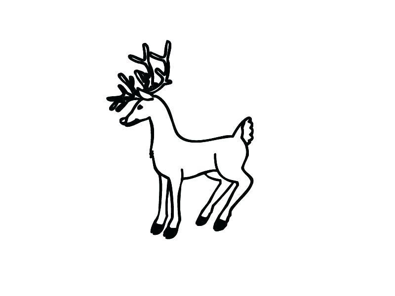 800x600 Coloring Pages Halloween Disney Zombies Pdf Moose Pictures