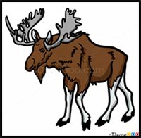 200x196 How To Draw Cartoon Moose Realistic Moose Drawing Tutorials