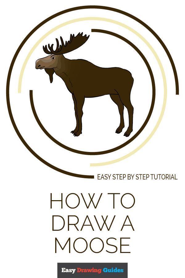 600x900 How To Draw A Moose