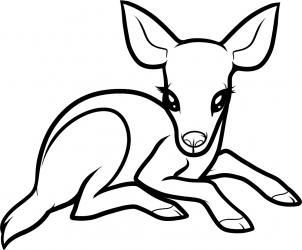 302x250 Huge Collection Of 'deer Drawing Easy' Download More Than