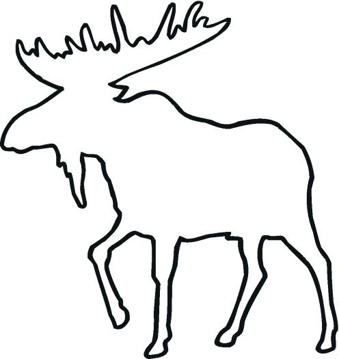 496x525 Moose Drawing Outline At Free For Personal Use Simple Head Prissy