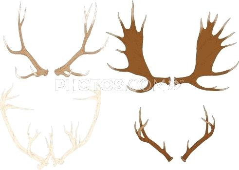 491x349 How To Draw Moose