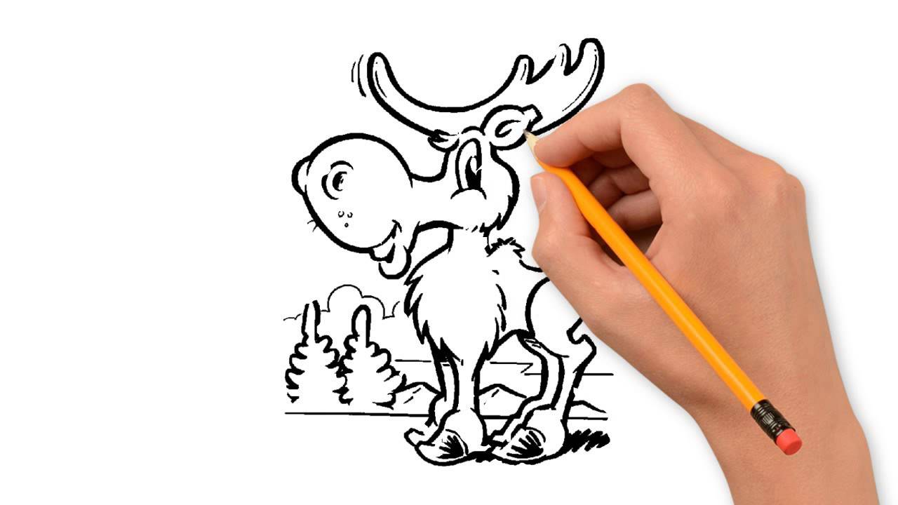 1280x720 Moose Animals Pencil To Draw Step