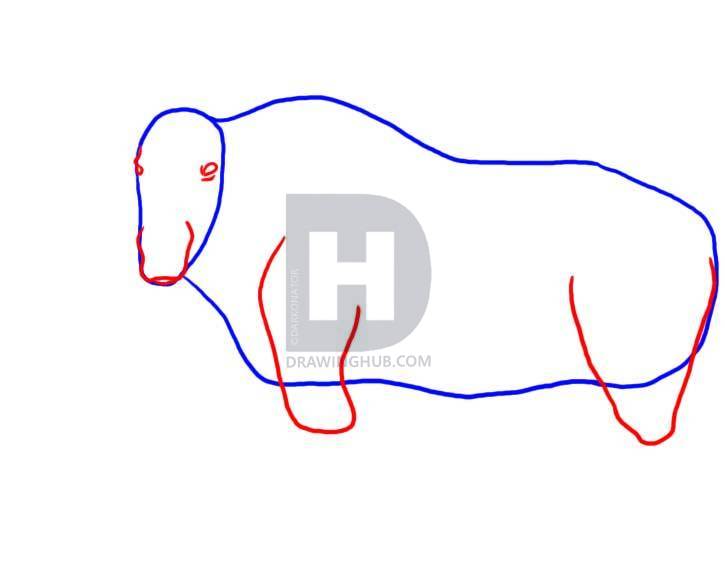 725x581 How To Draw A Moose, Step