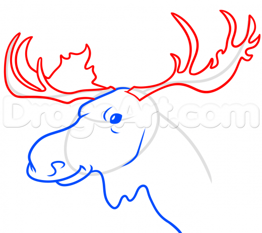 520x462 Learn Moose Head Drawing Tutorial, Forest Animals, Animals, Free