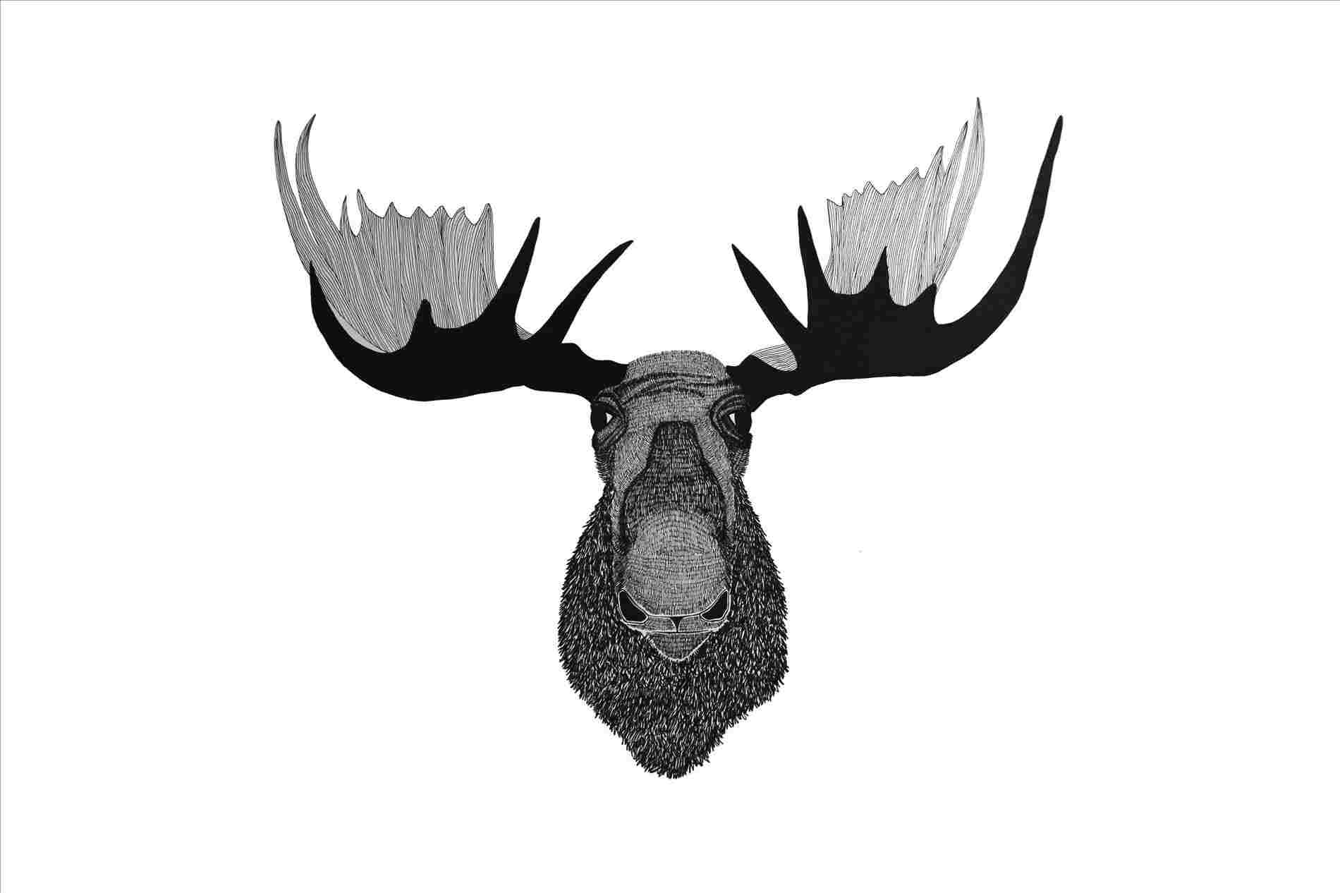 1900x1266 Face Archives