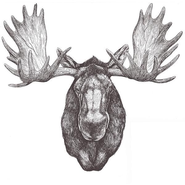 600x600 Colorado Native Tattys I Love! Moose Tattoo, Art, Black, White