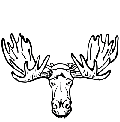 400x404 Moose Head Drawings