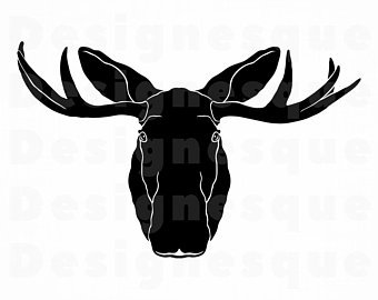 340x270 Moose Head Etsy