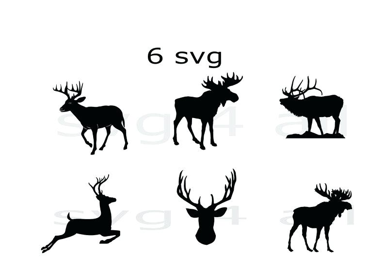 794x562 caribou drawing image caribou head drawing