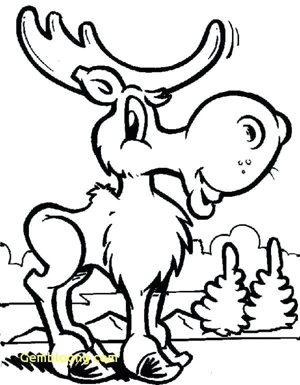 600x769 draw a moose draw moose draw moose cartoon