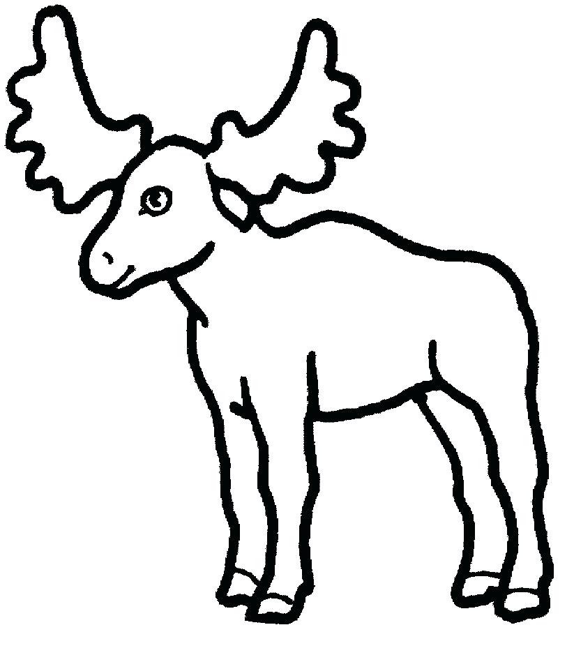 823x939 moose pictures to color moose coloring sheets baby moose coloring