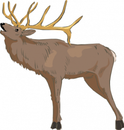 250x261 Idaho Drawing Pencil, Picture