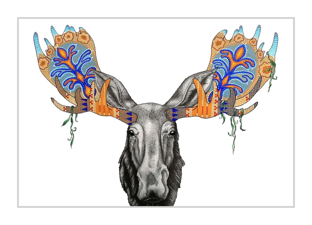 1024x740 Siksika Moose Kate Cragoe Mayfield