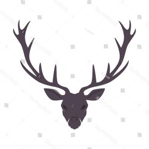 300x300 Best Moose Horns And Skull Vector Silhouettes Photos Soidergi