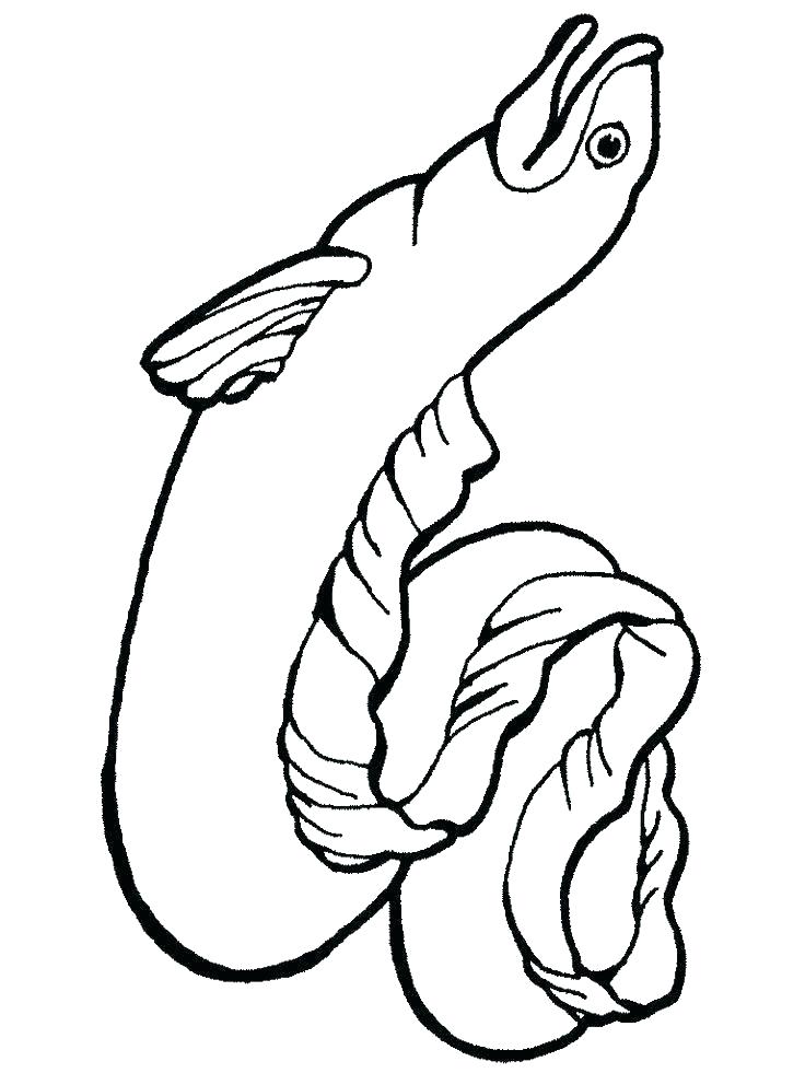 736x981 Eel Coloring
