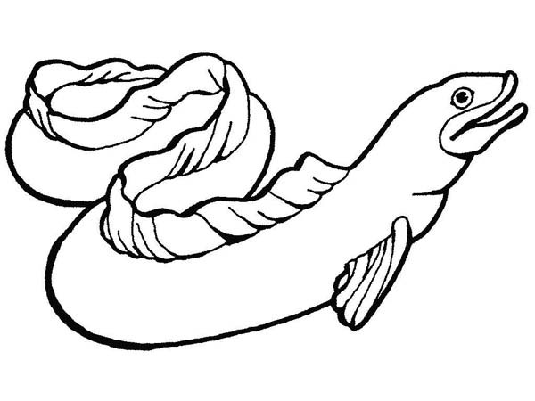 600x450 Eel Coloring Pages Printable Kids Coloring Pages Download