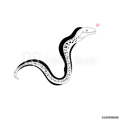 500x500 In Love Vector Moray Eels