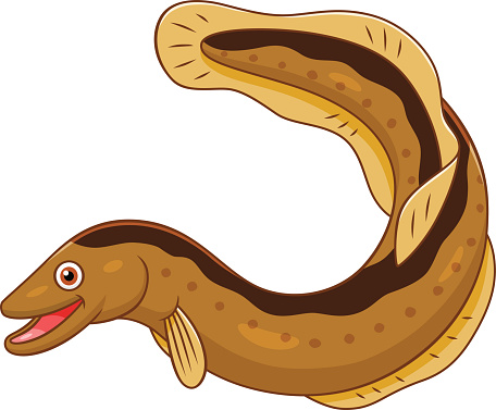 456x377 Moray Eel Clipart Clipart