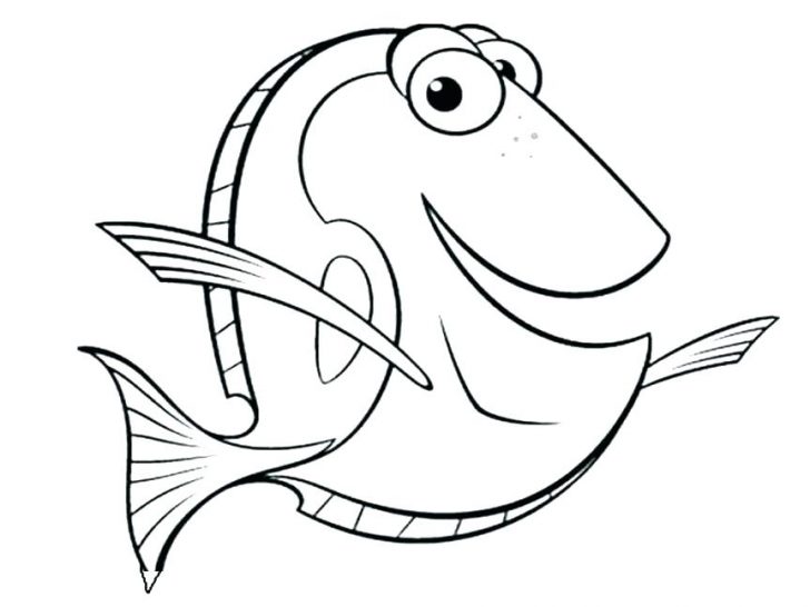 728x546 Parramatta Eels Coloring Pages Eel Fish Colouring