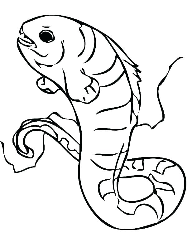 600x776 Eel Coloring Pages