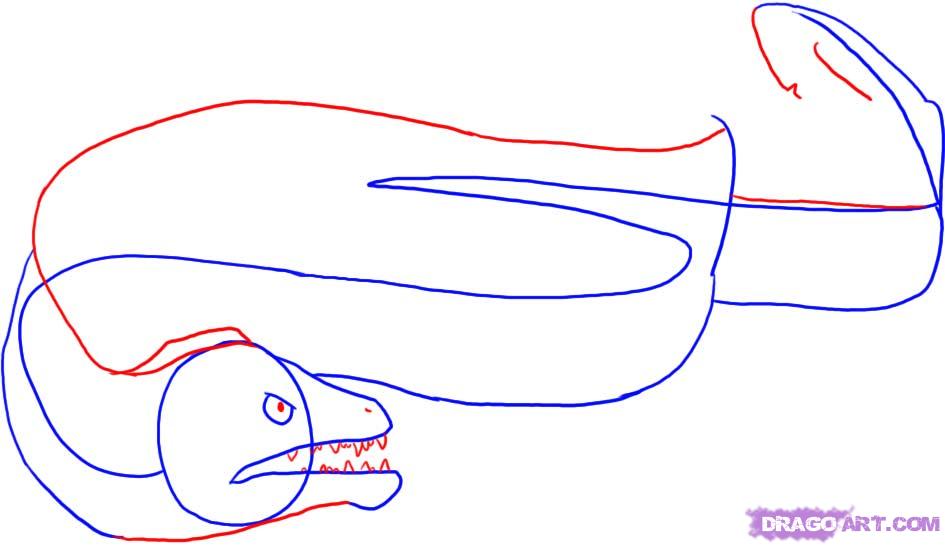 945x546 Draw An Eel, Step