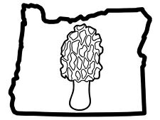 225x169 Morel Mushroom Vinyl Decal For Sale Online Ebay
