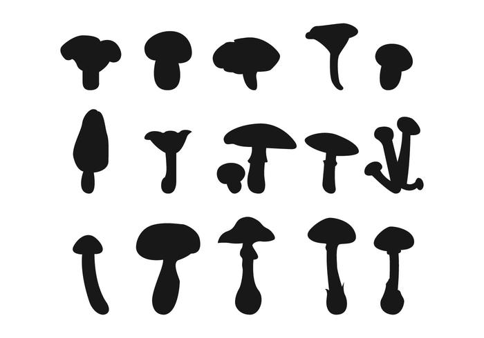 700x490 Mushroom Free Vector Art