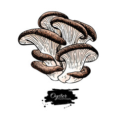 240x240 Search Photos