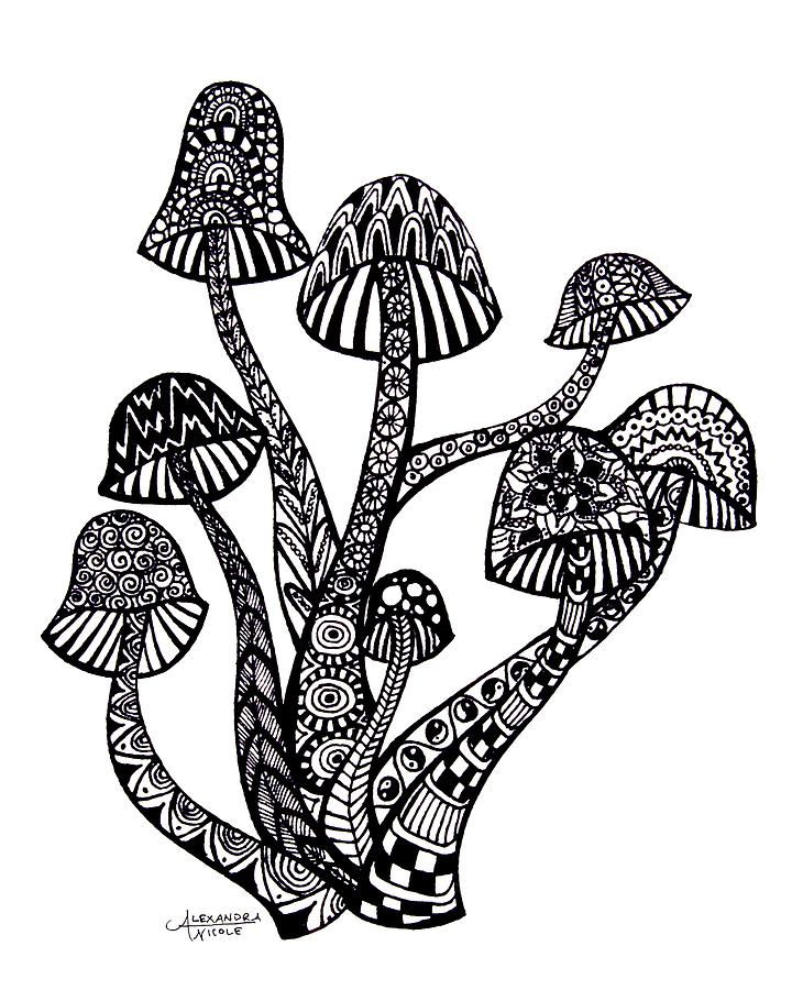 720x900 Zen Mushrooms Drawing