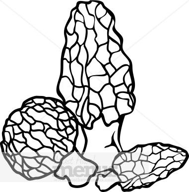 381x388 Morel Mushroom Clipart