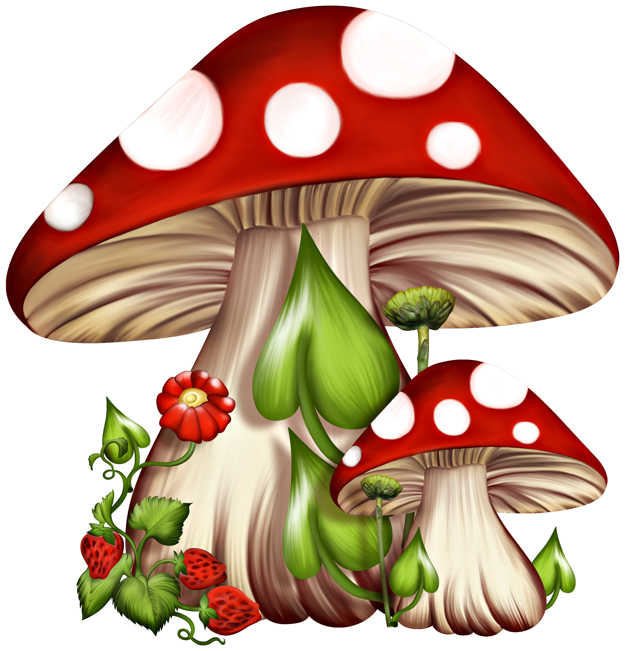 1999x2082 Fungus Drawing Trippy Transparent Png Clipart Free Download