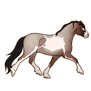 300x300 kvoska tracker