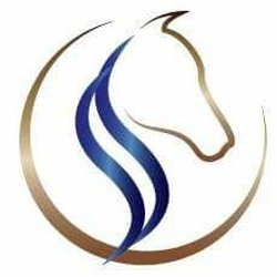 250x250 Stagnaro Tack Apparel