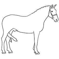 230x230 Top Free Printable Horse Coloring Pages Online