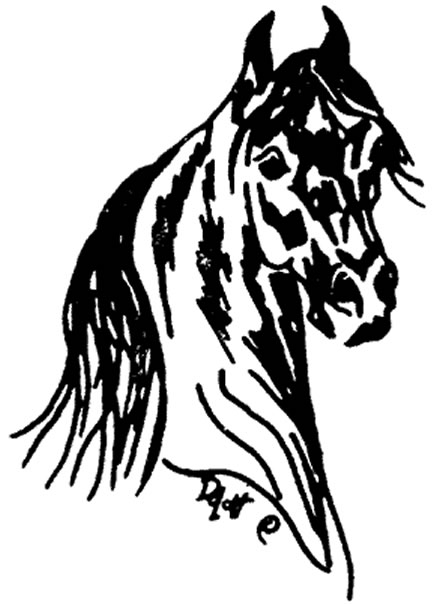 440x605 Trophy Designs Morgan Head Gif