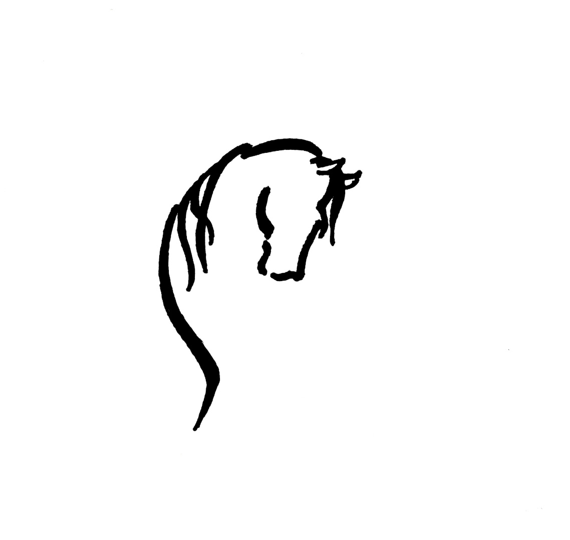 1138x1078 Wilga Park Morgans