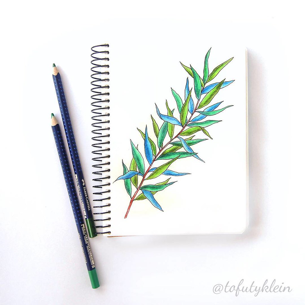 1024x1024 Good Morning!