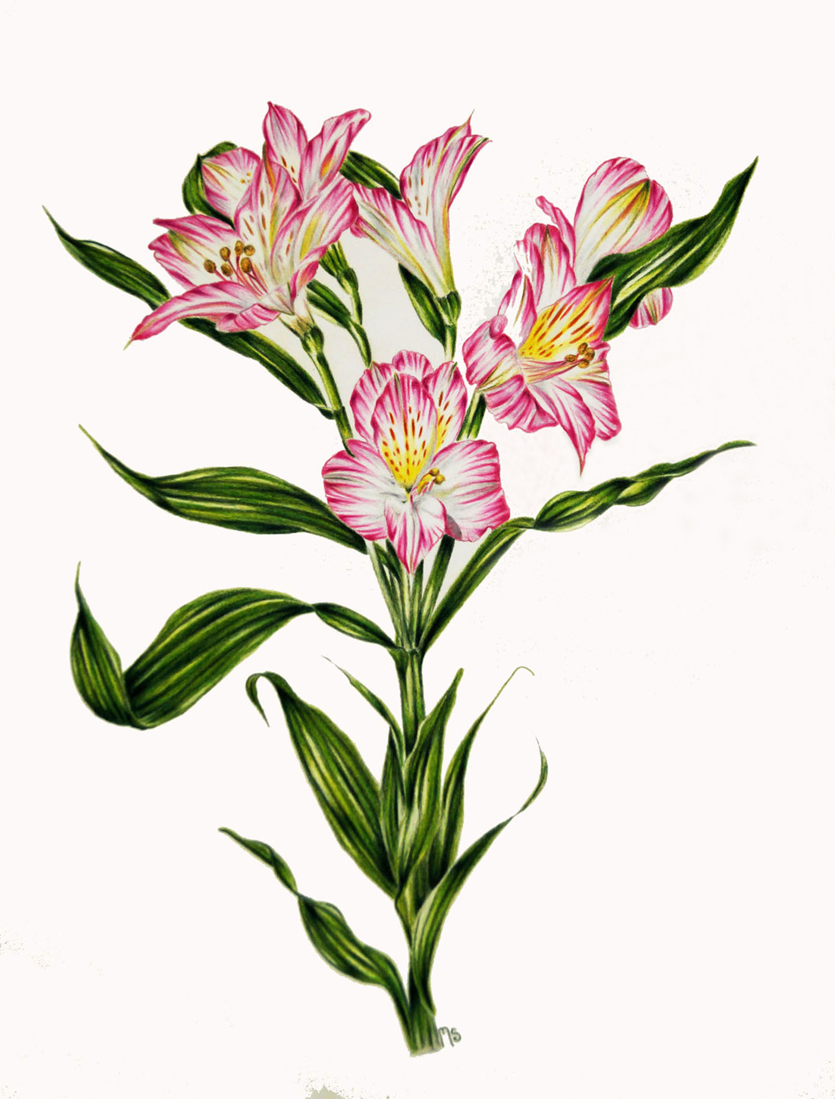 2736x3600 Spillane Studio Of Art Michael Spillane A Creative Vision