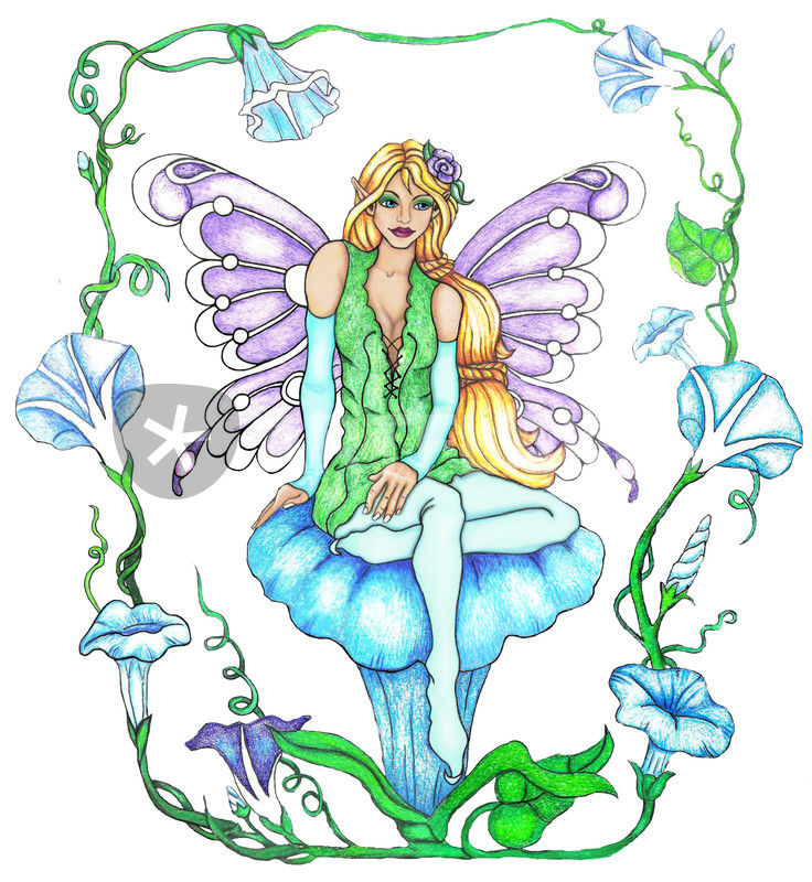 736x800 Morning Glory Fairy Drawing Art Prints And Posters
