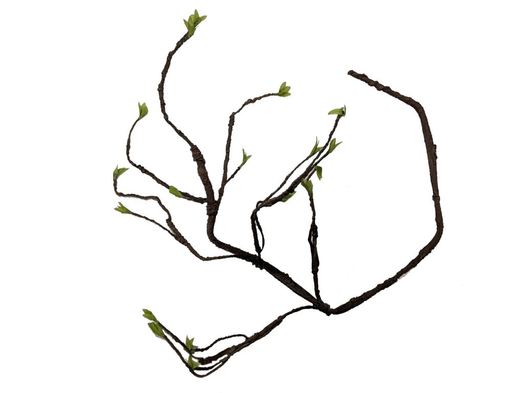 1024x768 how to draw vines flower drawing morning glory time lapse youtube