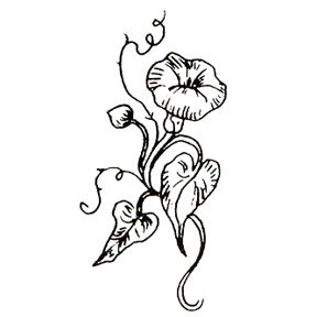 288x288 Morning Glory Flower Tattoos Rubber Stamps Party Supplies