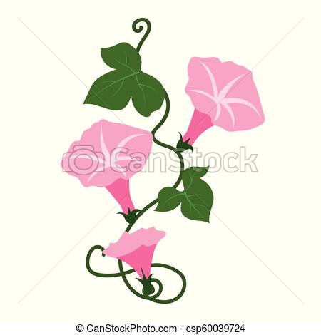 450x470 Nature Flower Pink Morning Glory Flower, Vector Botanic Garden