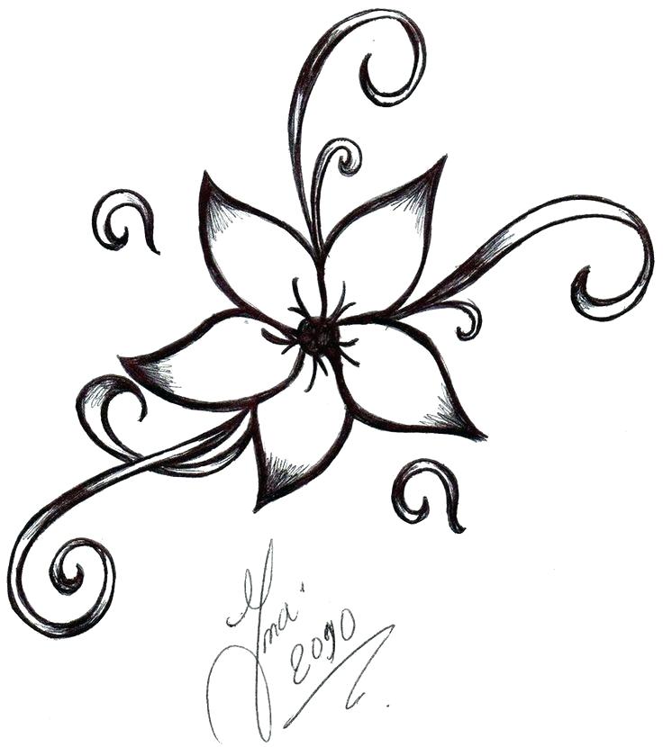 736x830 Flower Drawings Simple