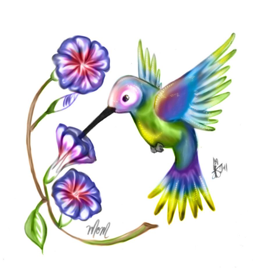 870x919 morning glory flower tattoo designs humming bird and morning