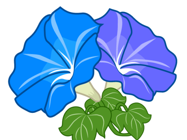 640x480 Morning Glory Clipart Cartoon