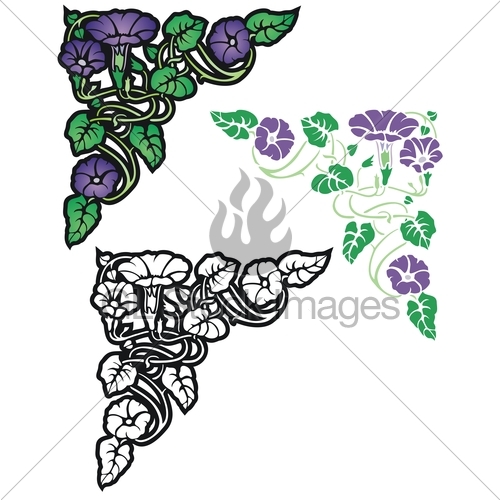 500x500 Morning Glory Corner Element Gl Stock Images
