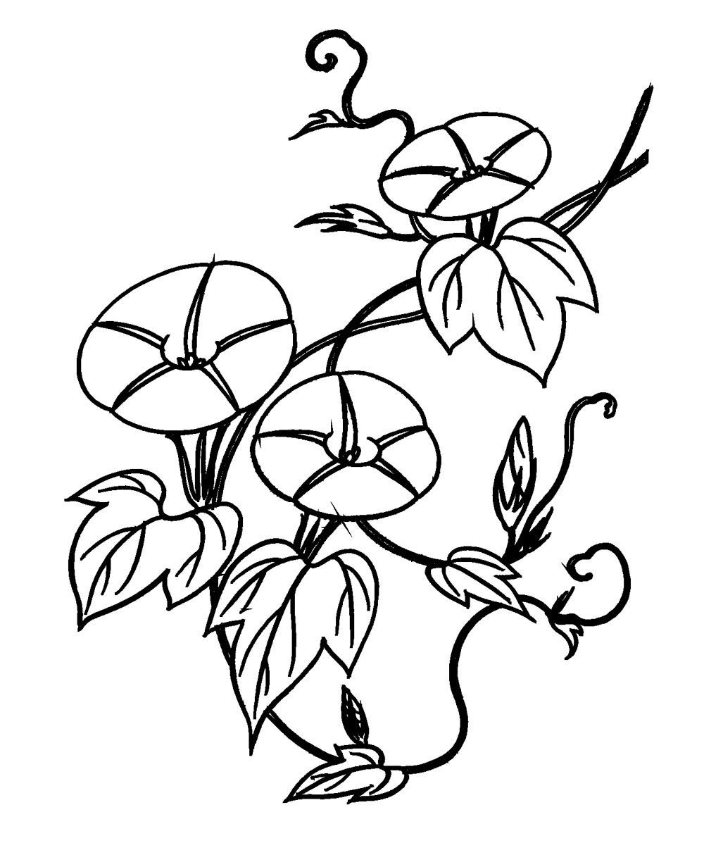 1000x1197 Morning Glory Vine Flonz Clear Stamp Clingy Acrylic Etsy