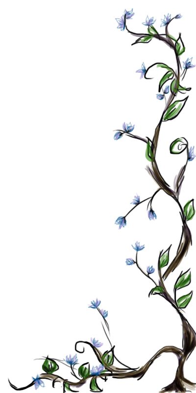 400x800 Vine Drawing Free Download