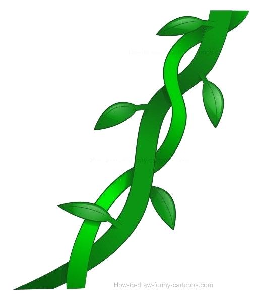 510x600 Vines Drawing Step Grape Vines Vector Drawings